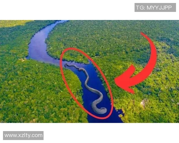 全球纪录之最：探索人类与自然界的极限成就与奇迹